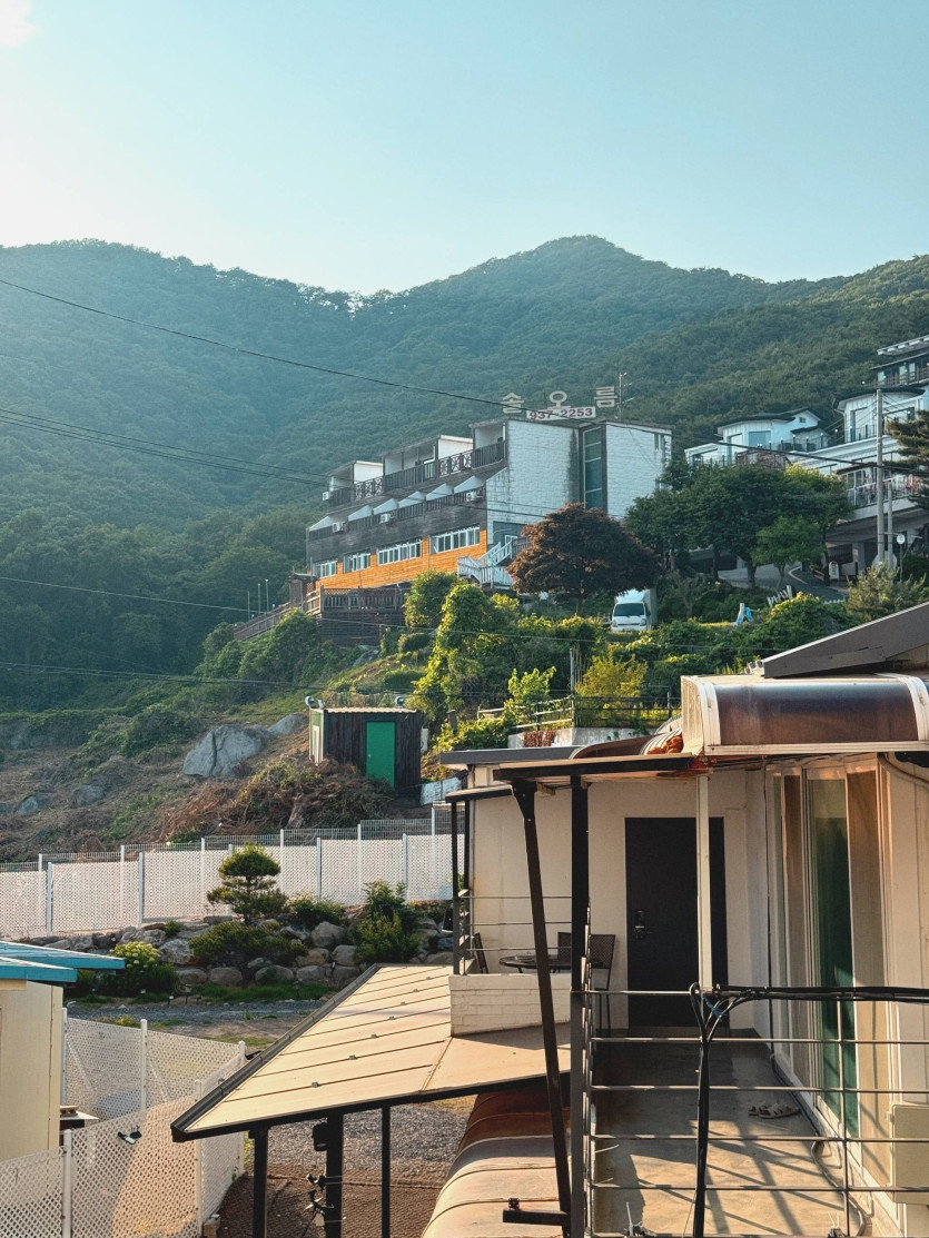 17499465163726.jpg