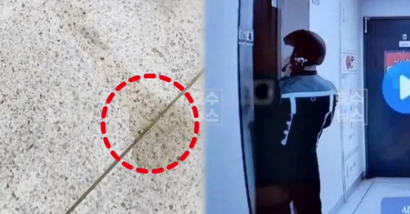 1756895410209.32843876