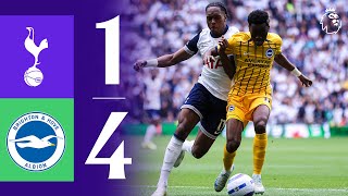 토트넘 홋스퍼 FC vs 브라이턴 & 호브 앨비언 경기 하이라이트 이미지